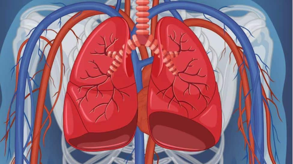 Research Connects Colourless, Odourless Gas to Increase In Nonsmokers ...