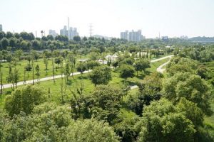 Seoul to Accelerate Efforts to Restore Hangang’s Natural Environment for the River’s Ecological Revival