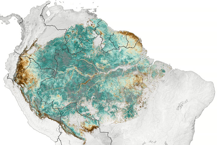 Satellite Senses Subtle Amazon Seasonality