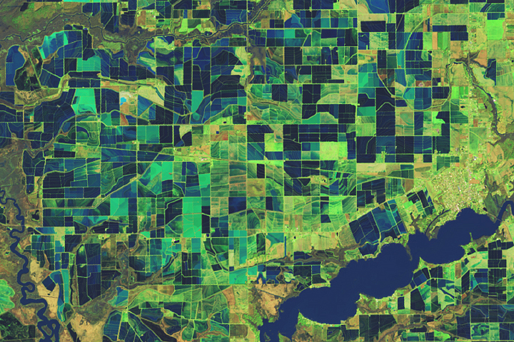 Flooded Rice Fields in Louisiana