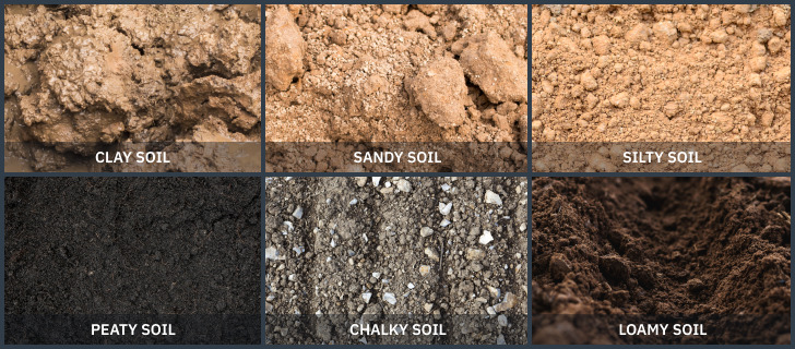 Different Types Of Soil With Images