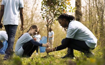 Mudanças Climáticas: Como elas afetam sua vida e o que você pode fazer para reduzir esse impacto