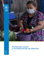 Protección social y transferencias de efectivo