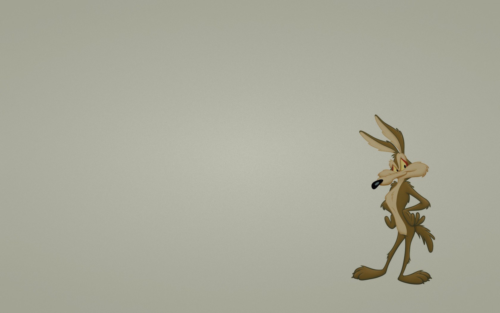 ... Wile E Coyote Wallpaper