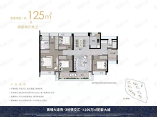 万科城市之光E区-125㎡户型图