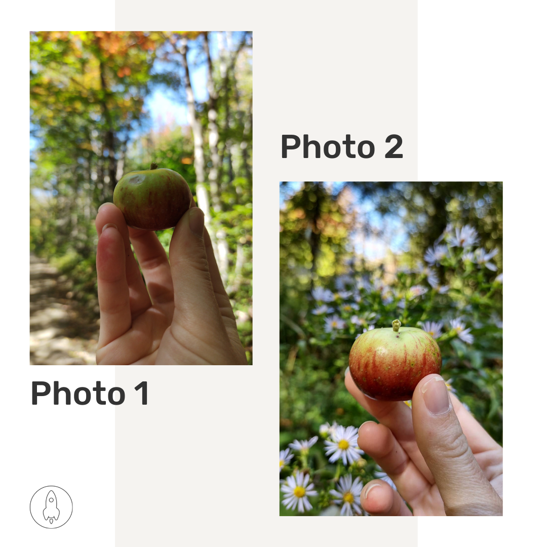 One nicely framed photo of an apple one poorly framed photo of an apple.