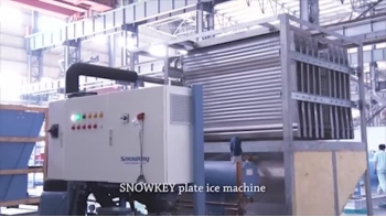 Plate Ice Machine