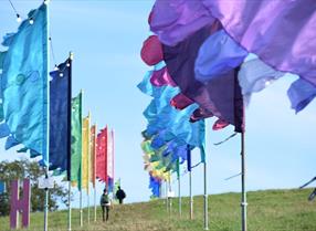 Event Flags