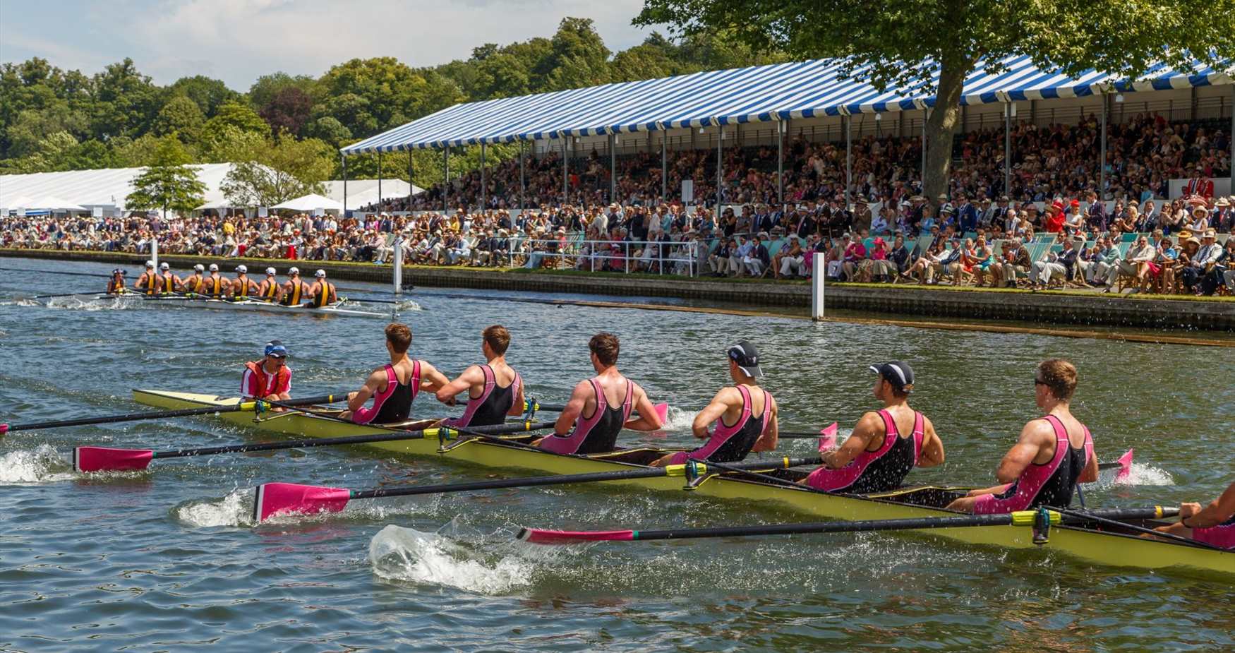 Rowing, Henley Royal Regatta, River Thames