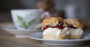 Cream tea