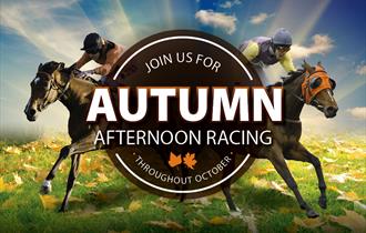 Autumn Afternoon Racing