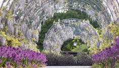 RHS Garden Wisley