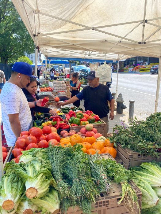 Starting May 18, join RiseBoro Farmers M