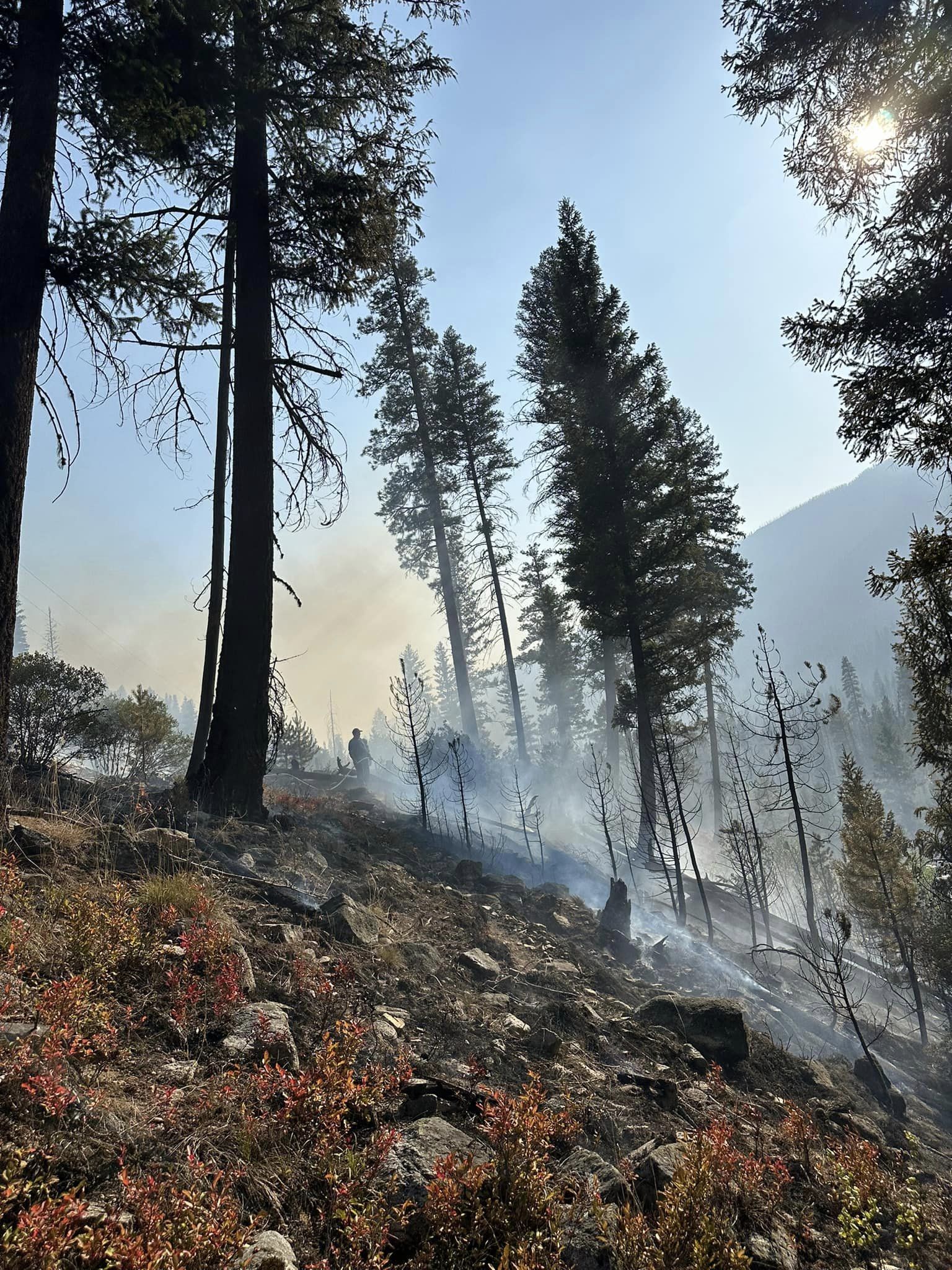 YELLOW PINE PLANE CRASH