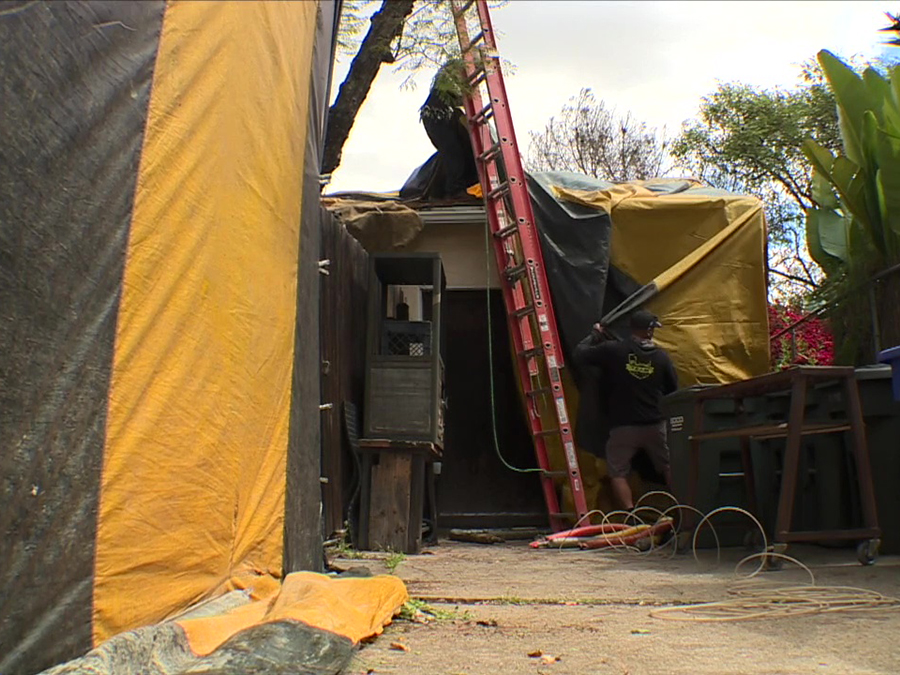 fumigation_termite_control_tenting.jpg