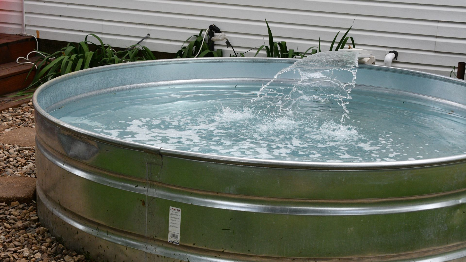 Stock tanks are an easy and affordable way to put a pool in your backyard