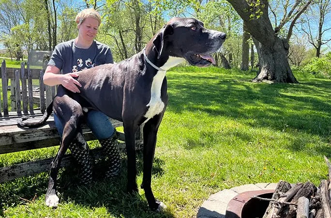 tallest-dog-kevin-sitting-on-mom-tracys-lap-770095.jpeg