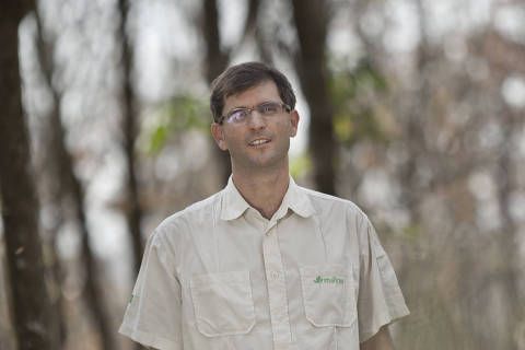 XAPURI, AC, BRASIL, 15-08-2012: O agrônomo Luís Fernando Guedes Pinto posa para foto, na Reserva Extrativista Chico Mendes, em Xapuri, no Acre. Ele trabalha na ONG Imaflora, um fundo social de apoio à certificação de pequenos agricultores e é um dos finalistas do Prêmio de Empreendedor Social 2012, concedido pela Folha de S.Paulo e pela Fundação Schwab. (Foto: Na Lata) ***DIREITOS RESERVADOS. NÃO PUBLICAR SEM AUTORIZAÇÃO DO DETENTOR DOS DIREITOS AUTORAIS E DE IMAGEM***