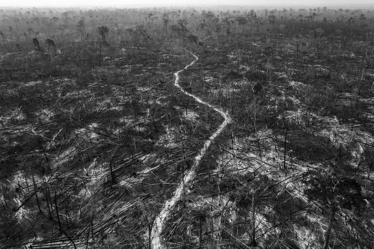 Área incendiada em Apuí, no sul do estado do Amazonas, que é a fronteira da expansão da agricultura na Amazônia