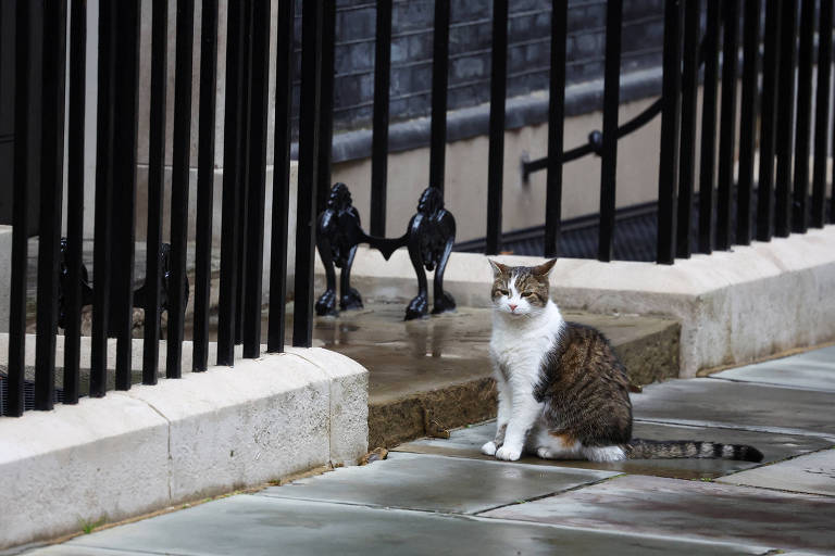 Larry, gato que mora em Downing Street, recebe seu sexto primeiro-ministro