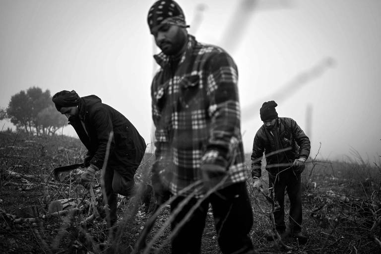 Repúdio a imigrantes reflete desinformação