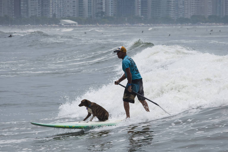 Morre Parafina, cachorro premiado em mundial de surfe