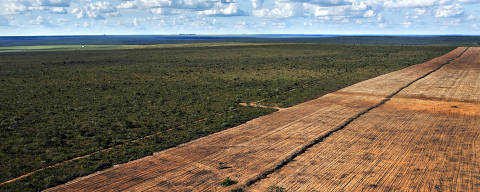 MATEIROS, TO. 17/03/2024. ESPECIAL CERRADO. Area recem desmatada de cerrado na divisa com a Estacao Ecologica Serra Geral do Tocantins, na regiao do Jalapao. ( Foto: Lalo de Almeida/Folhapress ). AMBIENTE. *** EXCLUSIVO FOLHA*** ORG XMIT: AGEN2404011820007038