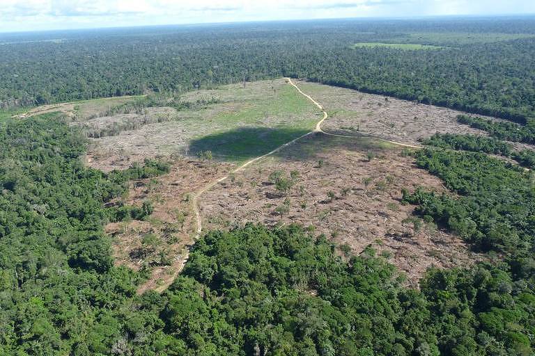 Imagem aérea mostrando uma área de desmatamento na Floresta Amazônica. À esquerda, a vegetação densa e verde, enquanto à direita, uma área desmatada com solo exposto e árvores cortadas. Um caminho de terra se estende pela área desmatada, separando a floresta intacta da área devastada.