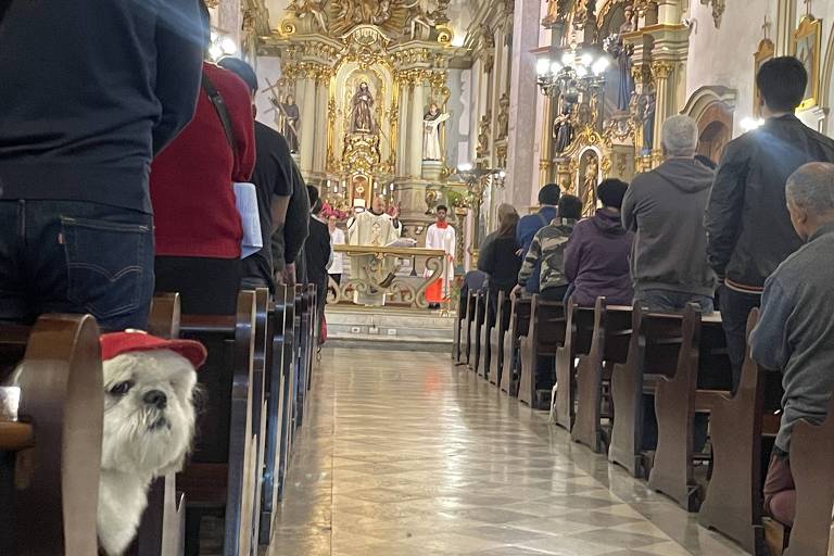 Pets recebem bênçãos e participam de missas no Dia de São Francisco