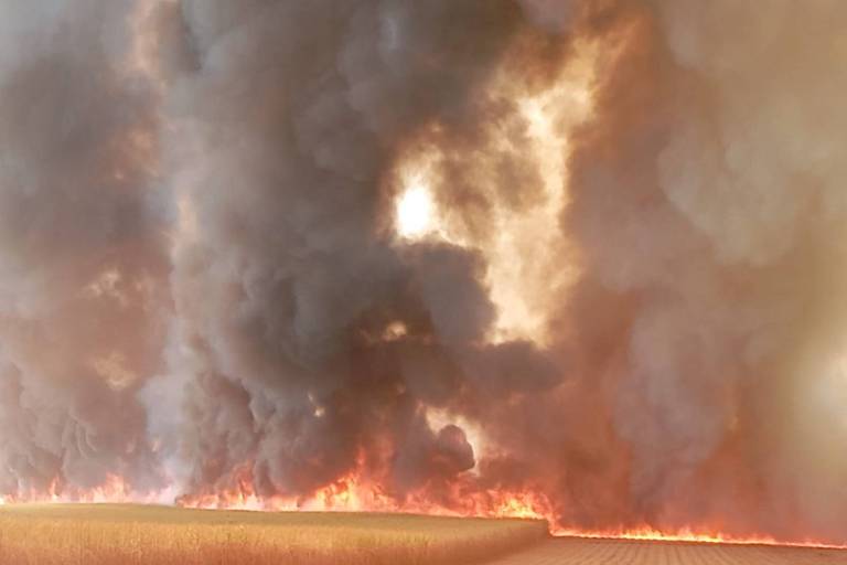 SP tem ao menos seis cidades com focos de incêndio nesta segunda (7)