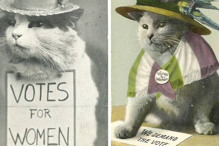 Como memes de gatos se tornaram virais há 100 anos