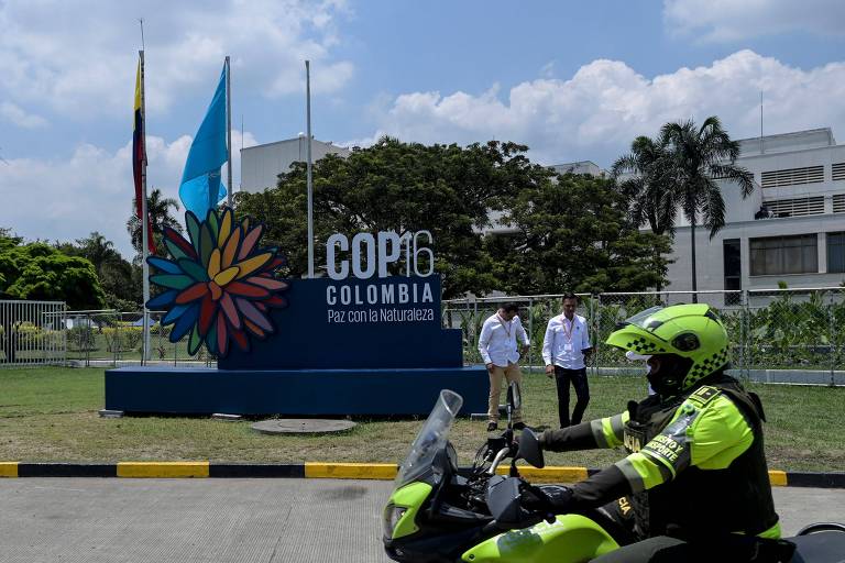 Brasil chega à COP16 sem aprovar plano de metas para proteção da biodiversidade