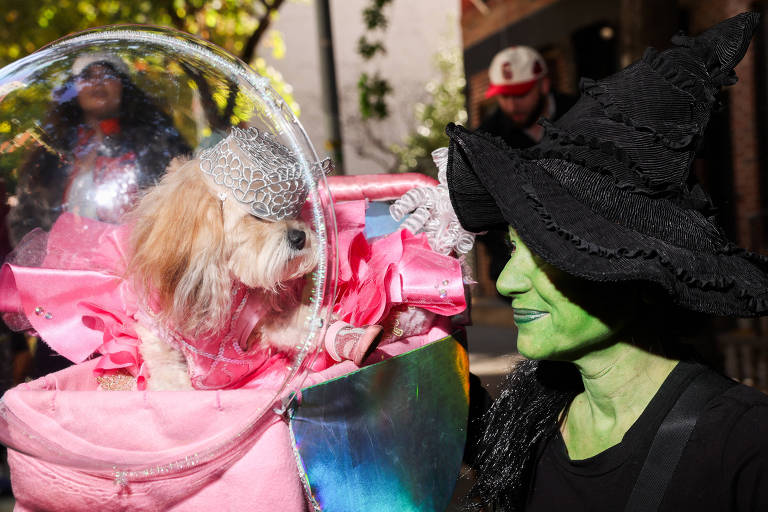 Pets participam de desfile de Halloween nos EUA; veja fotos