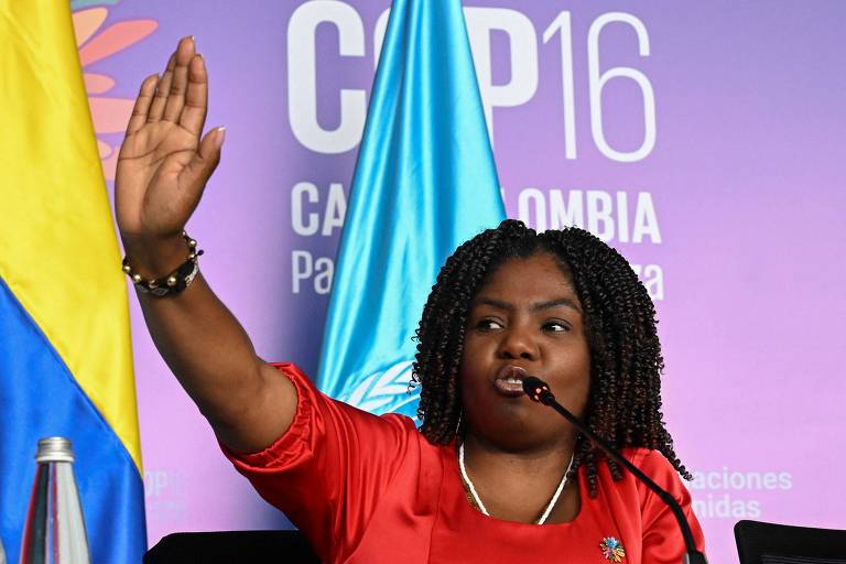 Vice-presidente da Colômbia critica ONU e pede reconhecimento de afrodescendentes na COP16