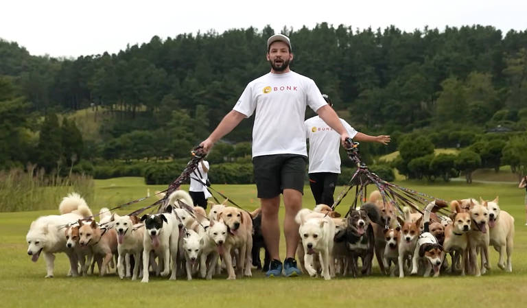 Homem passeia com 38 cachorros ao mesmo tempo e quebra recorde do Guinness Book