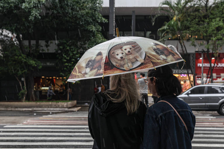 Estado de São Paulo deve ter temporais e quatro frentes frias em novembro