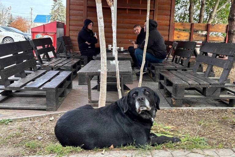 Cacorro preto com focinho branco, com pessoas sentadas em cadeiras ao fundo