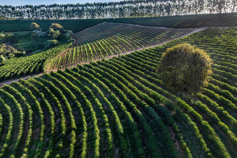 Livro percorre regiões produtoras de café do Brasil com indicação geográfica