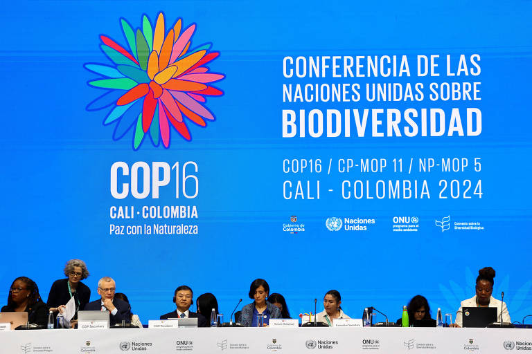 COP16 da biodiversidade será retomada em fevereiro em Roma