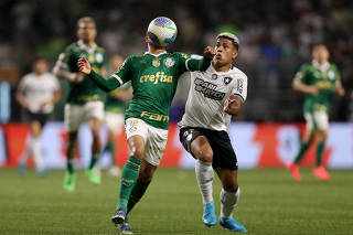 Brasileiro Championship - Palmeiras v Botafogo