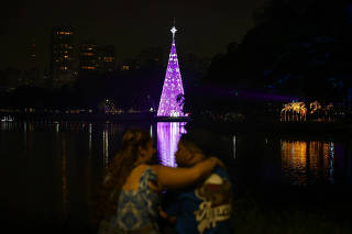 Árvore natal Ibirapuera