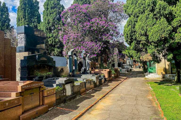 A imagem mostra um caminho em um cemitério, ladeado por lápides e túmulos. À esquerda, há lápides de diferentes estilos e materiais, enquanto à direita, o caminho é cercado por árvores altas e um gramado verde. No fundo, destaca-se uma árvore com flores roxas, criando um contraste com o ambiente. O céu está claro, com algumas nuvens.
