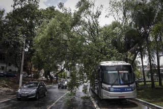 ÁRVORE ATINGE ÔNIBUS NA ZONA NORTE