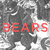 bearsband thumbnail