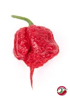 Carolina Reaper