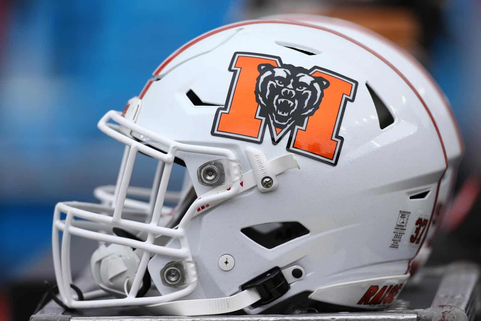 Mercer Bears