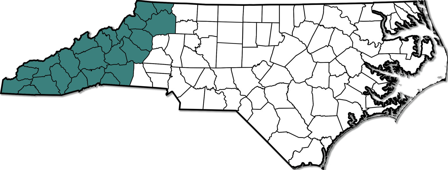 A map of North Carolina with its mountain counties highlighted. 