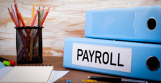 How Much Does Payroll Software Cost? Comparison of Pricing Plans in 2024