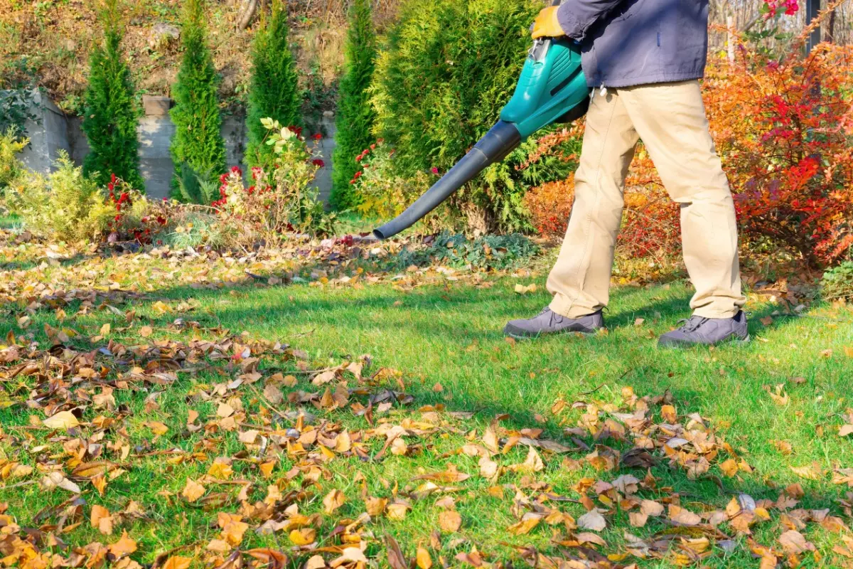 Landscaper using a leaf blower