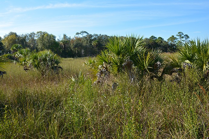 Florida Panther NWR